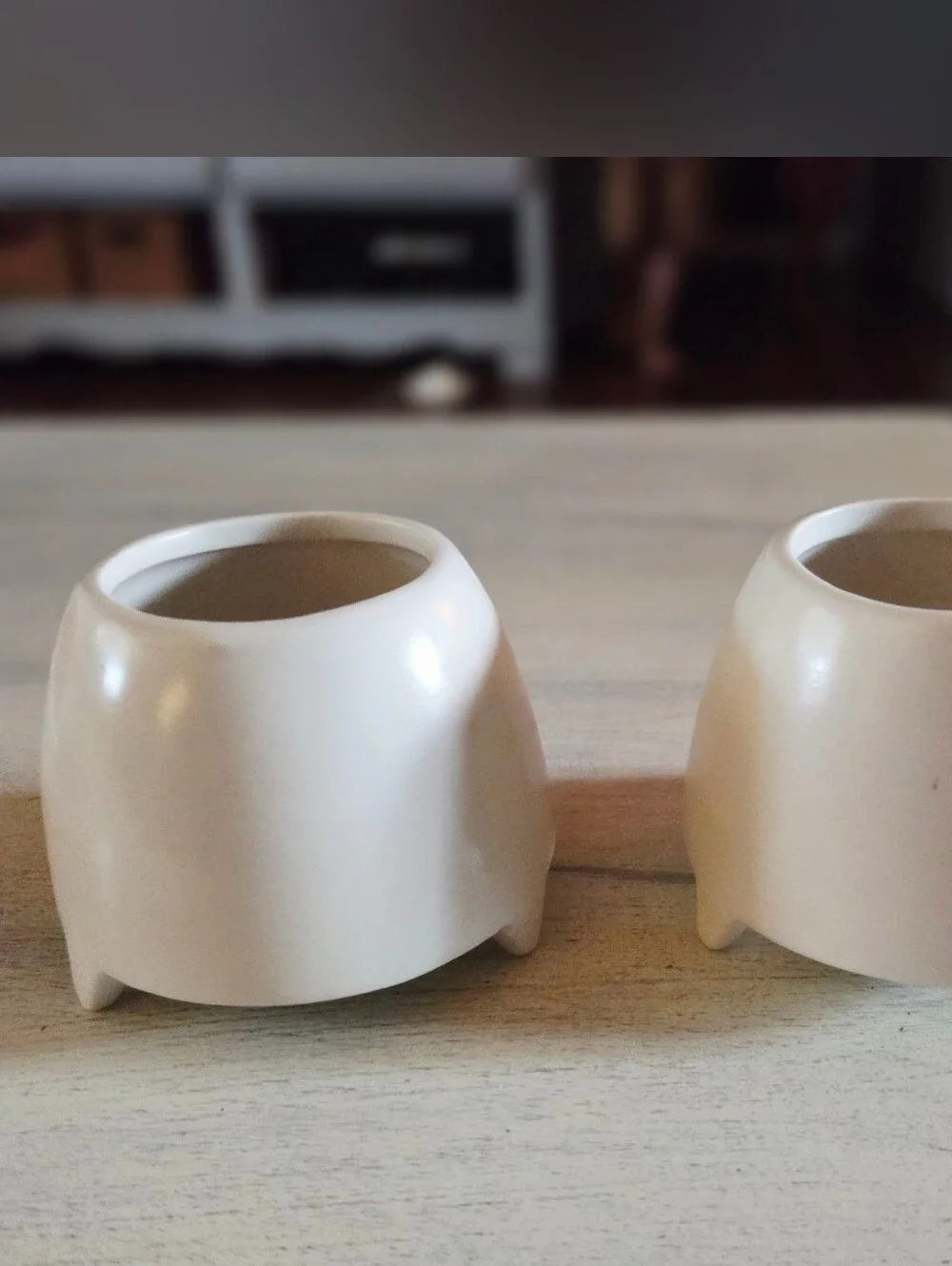Two Ceramic Hope Tillandsia Mini Planters